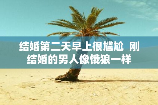 结婚第二天早上很尴尬 刚结婚的男人像饿狼一样