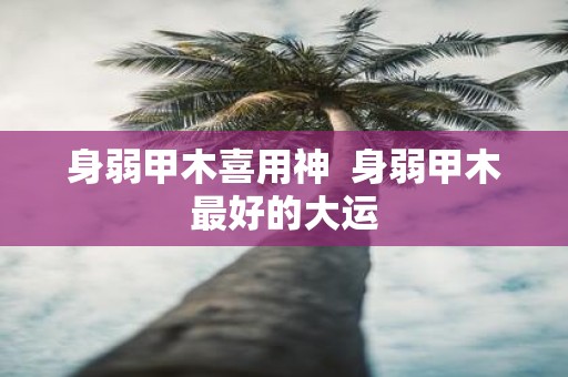 身弱甲木喜用神 身弱甲木最好的大运