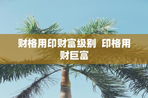 财格用印财富级别  印格用财巨富