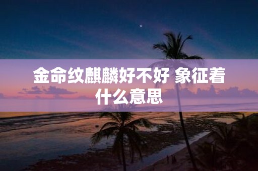 金命纹麒麟好不好 象征着什么意思