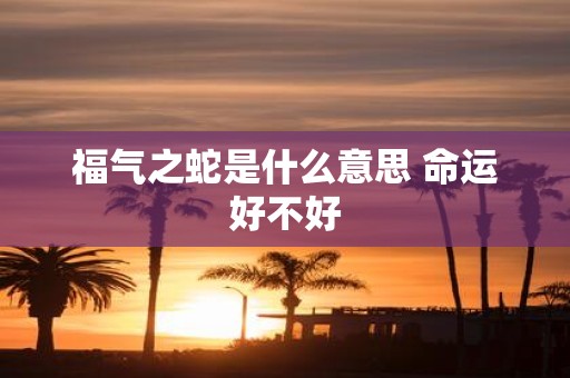福气之蛇是什么意思 命运好不好