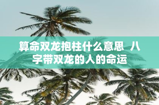 算命双龙抱柱什么意思 八字带双龙的人的命运
