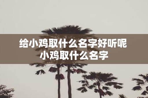 给小鸡取什么名字好听呢 小鸡取什么名字