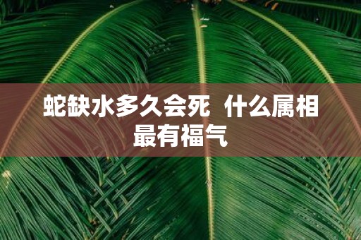 蛇缺水多久会死 什么属相最有福气