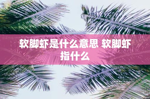 软脚虾是什么意思 软脚虾指什么