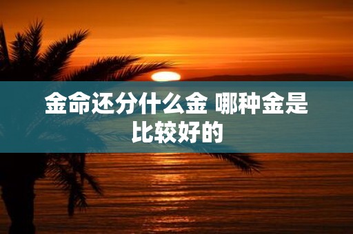 金命还分什么金 哪种金是比较好的