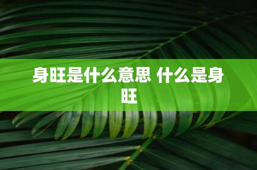 身旺是什么意思 什么是身旺