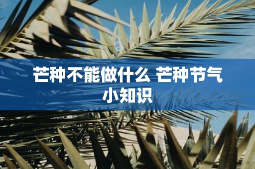 芒种不能做什么 芒种节气小知识