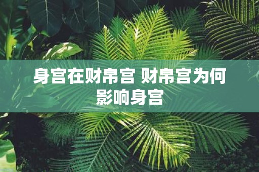 身宫在财帛宫 财帛宫为何影响身宫