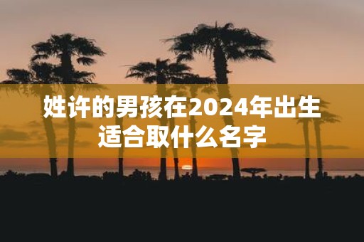 姓许的男孩在2025年出生适合取什么名字