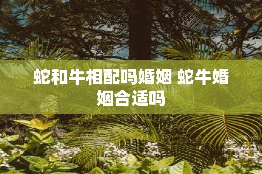蛇和牛相配吗婚姻 蛇牛婚姻合适吗