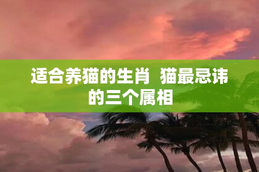 适合养猫的生肖 猫最忌讳的三个属相