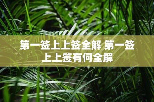 第一签上上签全解 第一签上上签有何全解