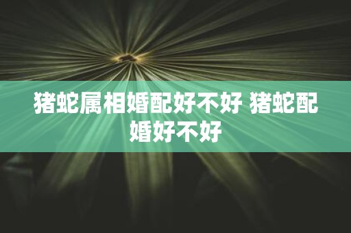 猪蛇属相婚配好不好 猪蛇配婚好不好