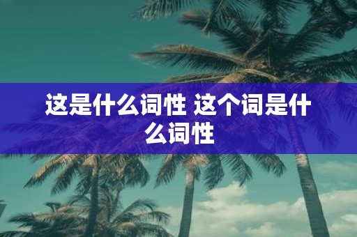 这是什么词性 这个词是什么词性