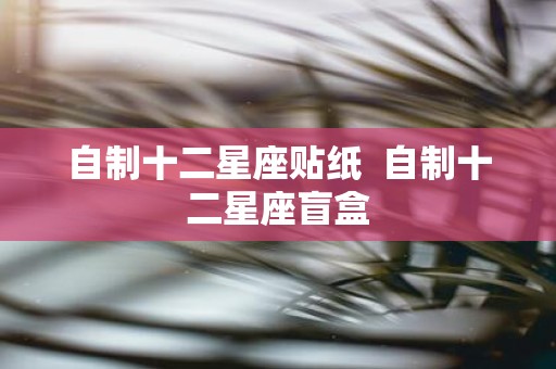 自制十二星座贴纸 自制十二星座盲盒