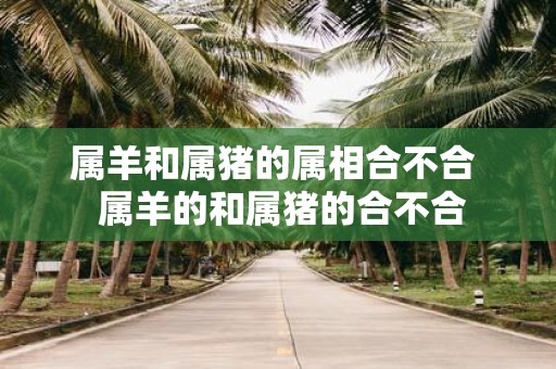 属羊和属猪的属相合不合 属羊的和属猪的合不合