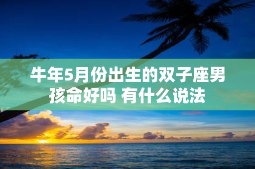 牛年5月份出生的双子座男孩命好吗 有什么说法