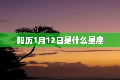 阳历1月12日是什么星座