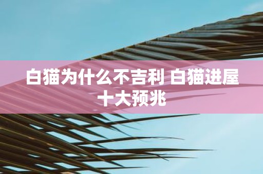 白猫为什么不吉利 白猫进屋十大预兆