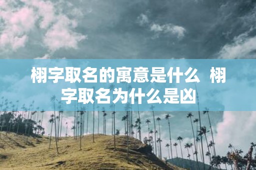 栩字取名的寓意是什么 栩字取名为什么是凶