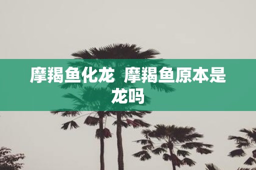 摩羯鱼化龙 摩羯鱼原本是龙吗