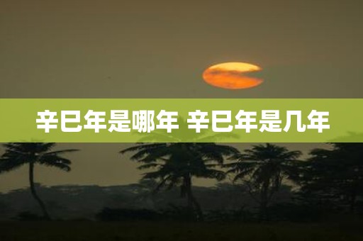 辛巳年是哪年 辛巳年是几年