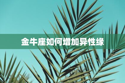 金牛座如何增加异性缘