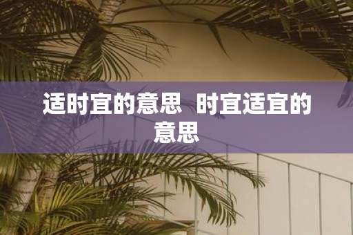 适时宜的意思 时宜适宜的意思