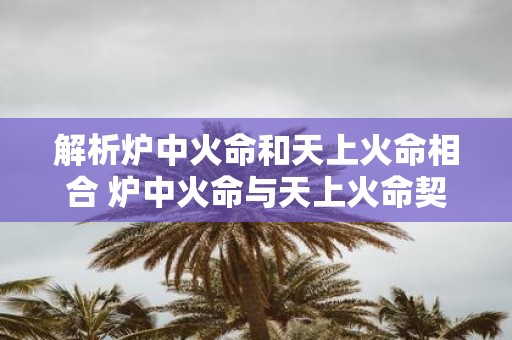 解析炉中火命和天上火命相合 炉中火命与天上火命契合