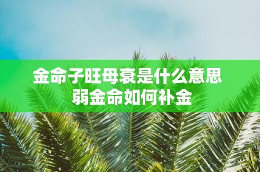 金命子旺母衰是什么意思 弱金命如何补金