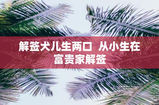 解签犬儿生两口 从小生在富贵家解签