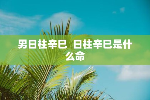男日柱辛巳 日柱辛巳是什么命