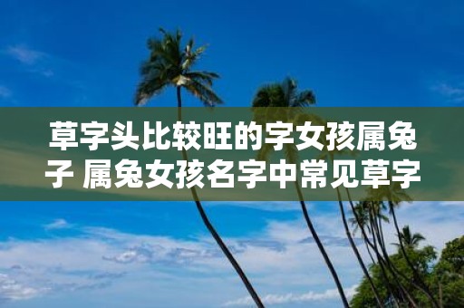 草字头比较旺的字女孩属兔子 属兔女孩名字中常见草字头