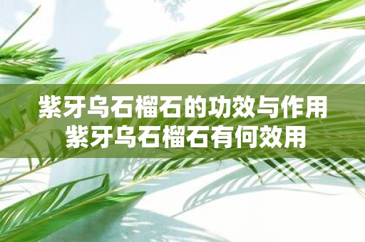 紫牙乌石榴石的功效与作用 紫牙乌石榴石有何效用