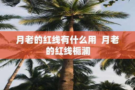 月老的红线有什么用 月老的红线栀澜