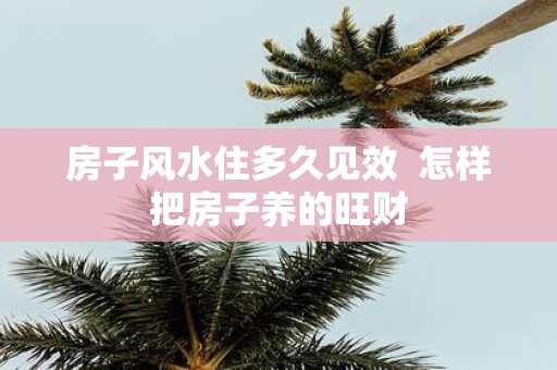 房子风水住多久见效 怎样把房子养的旺财