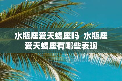 水瓶座爱天蝎座吗 水瓶座爱天蝎座有哪些表现
