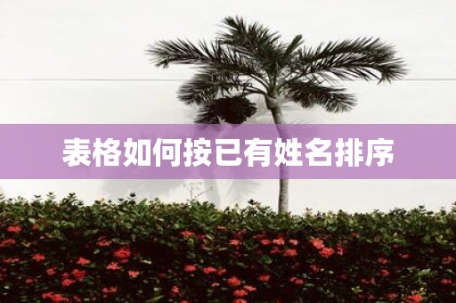 表格如何按已有姓名排序