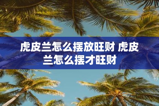 虎皮兰怎么摆放旺财 虎皮兰怎么摆才旺财