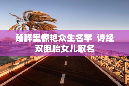 楚辞里惊艳众生名字 诗经双胞胎女儿取名