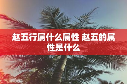 赵五行属什么属性 赵五的属性是什么