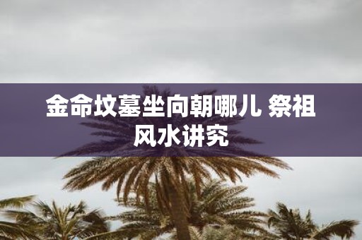 金命坟墓坐向朝哪儿 祭祖风水讲究