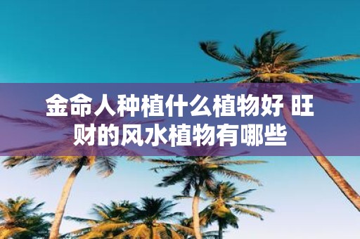 金命人种植什么植物好 旺财的风水植物有哪些