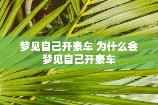 梦见自己开豪车 为什么会梦见自己开豪车