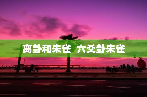 离卦和朱雀 六爻卦朱雀