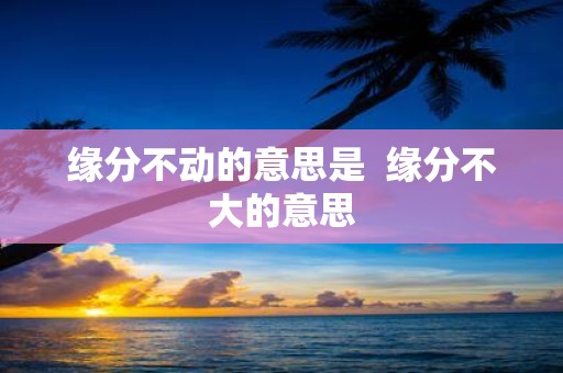 缘分不动的意思是 缘分不大的意思