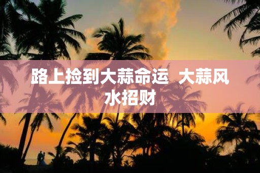 路上捡到大蒜命运 大蒜风水招财