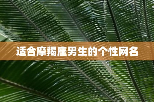 适合摩羯座男生的个性网名