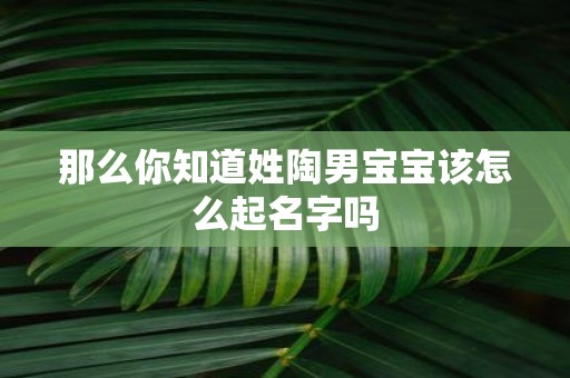 那么你知道姓陶男宝宝该怎么起名字吗
